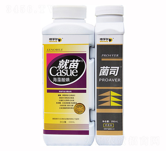 ����+��˾-���ڠ�