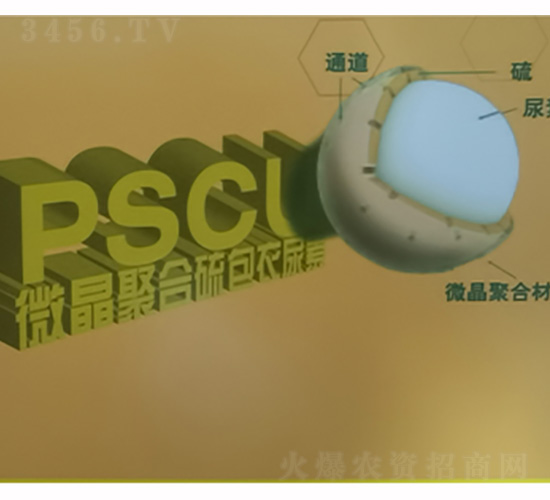 ΢�������������-˼�Z����