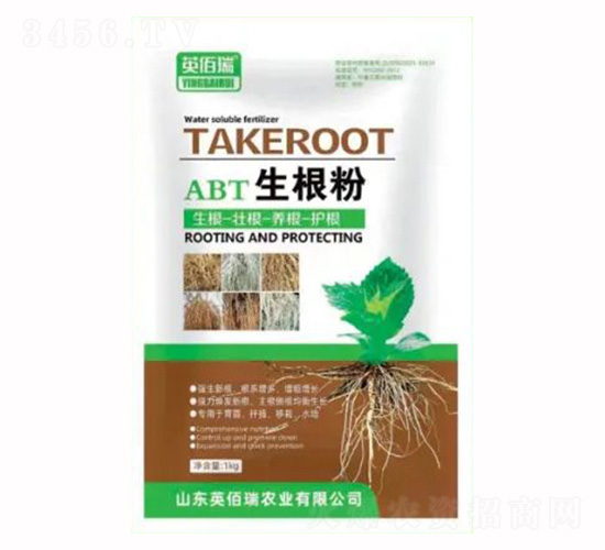 ������-Ӣ����-�sҫ�r(n��ng)�I(y��)