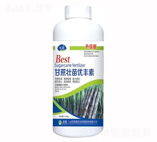 1000g������烞(y��u)�S������(j��)��-�sҫ�r(n��ng)�I(y��)