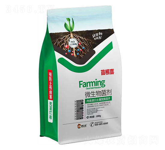 ���ϲ΢�������-�ʢ����