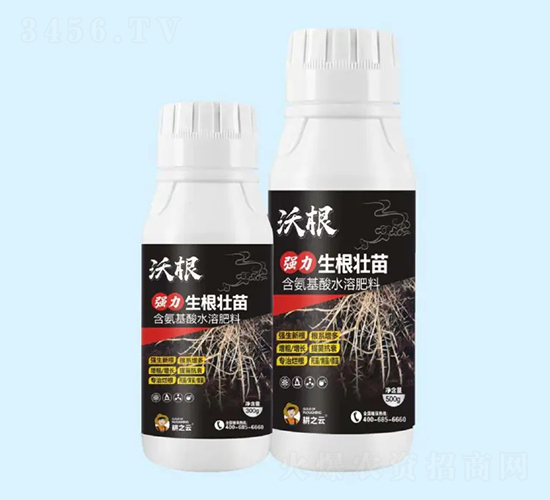 �ָ�-������������-�ʢ����