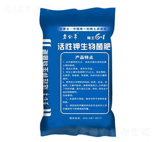 ������������-�Ϲ���-����