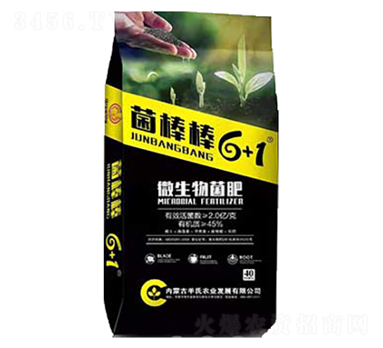 ΢�������-������6+1-����