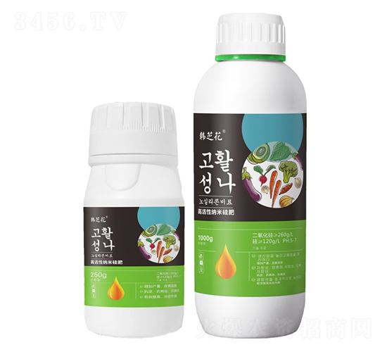 �߻��Լ{�׹��-�n֥��-���W�׶�