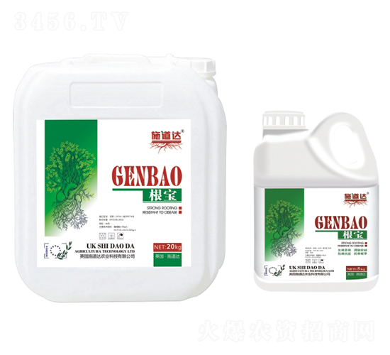 ����-ʩ���_(d��)