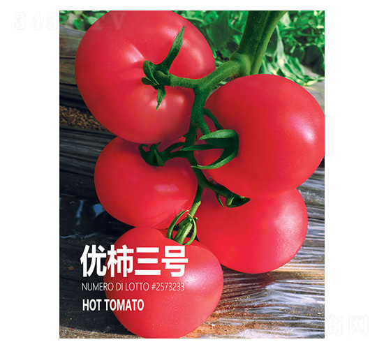 ��(y��u)����̖-���r(n��ng)����(chu��ng)