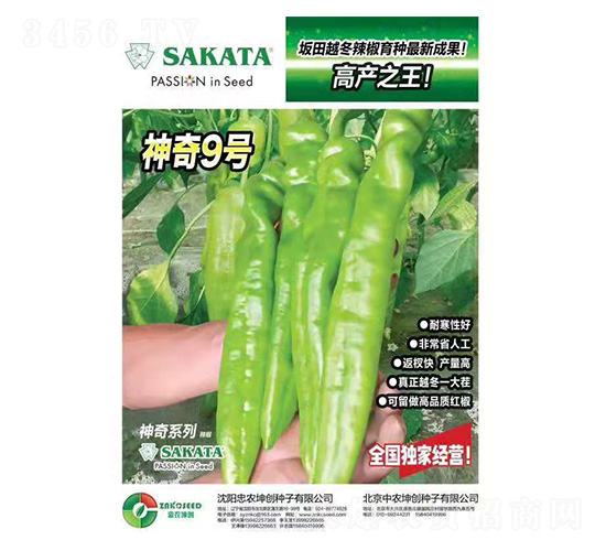 ����(chu��ng)��̖-���r����(chu��ng)