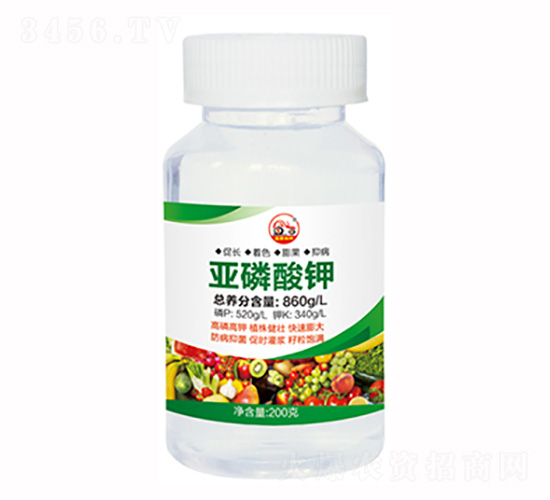 �������-ʢ������