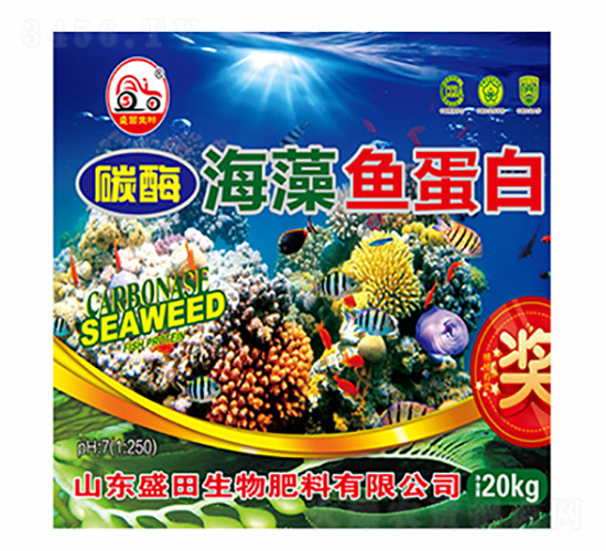 ̼ø�����~����-ʢ������