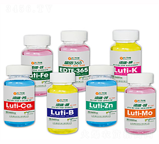 ���w΢��-ʢ������