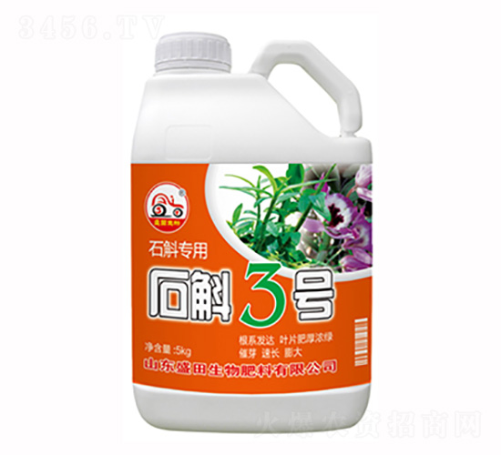 ʯ������-ʯ��3̖-ʢ������