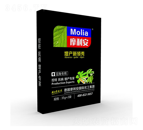 ���ǌ���-Ħ����