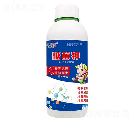 �Ǵ��-�S�տ�-���r����