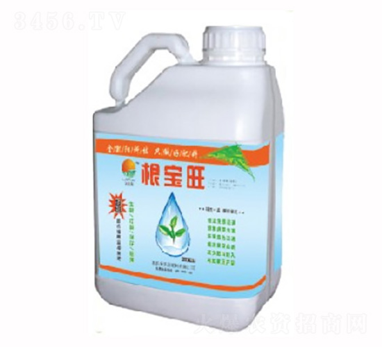 ������Һ�w���B(y��ng)����-���P�(y��ng)