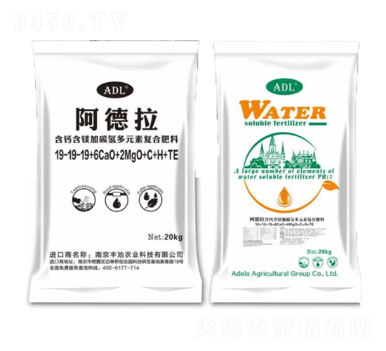 ���}���V��̼���Ԫ�؏ͺϷ���19-19-19+6CaO+2MgO+C+H+TE-������-�S���r(n��ng)�I(y��)