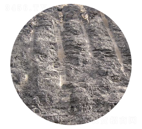 ��Ȼ��ֲ��ԭ��-��������