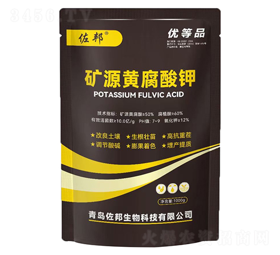 1000g�VԴ�S�����-����