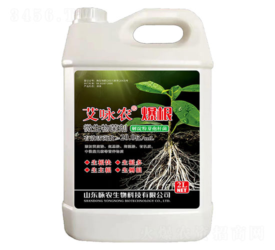 ����΢�������-��ԁ�r(n��ng)-�Ѻ����r(n��ng)