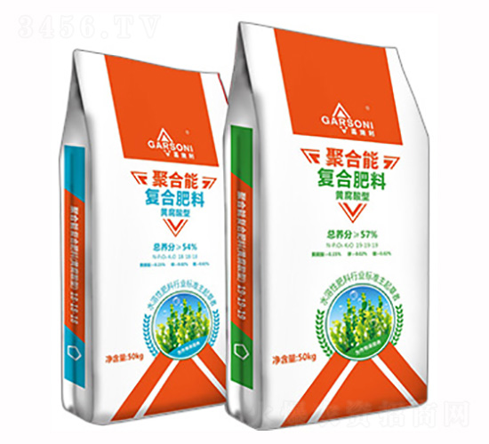 �S�����͏�(f��)�Ϸ���-��ʩ�����ۺ���