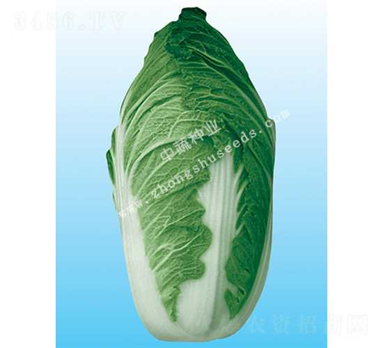 �а�66-�ײ˷N��-���߷N�I(y��)