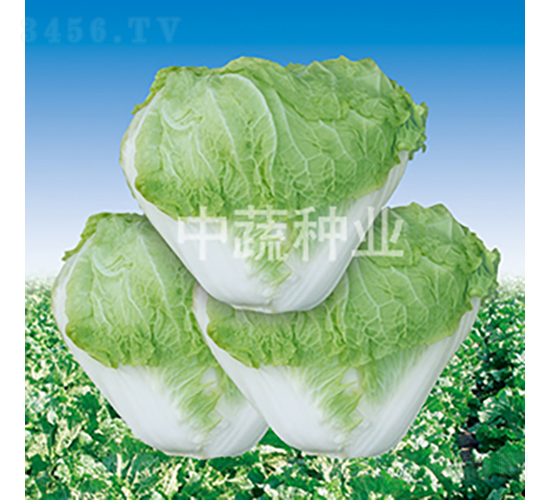 �а�83-�ײ˷N��-���߷N�I(y��)