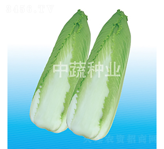 �G�S70-�ײ˷N��-���߷N�I(y��)