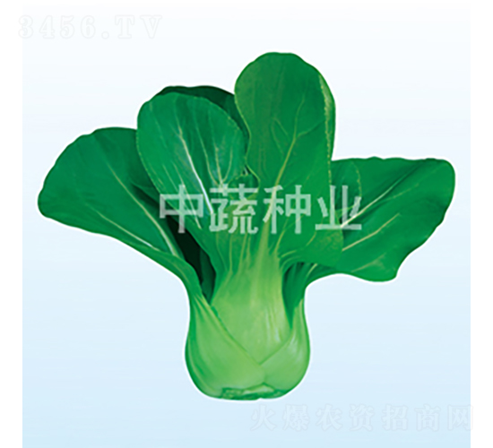 ��Ӣ252-�ײ˷N��-���߷N�I(y��)