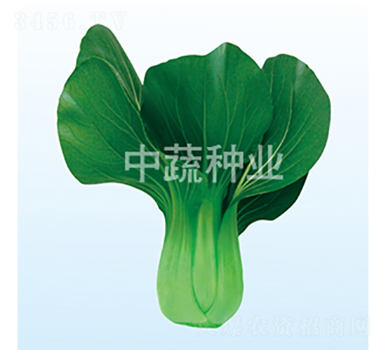 �ľG216-�ײ˷N��-���߷N�I(y��)