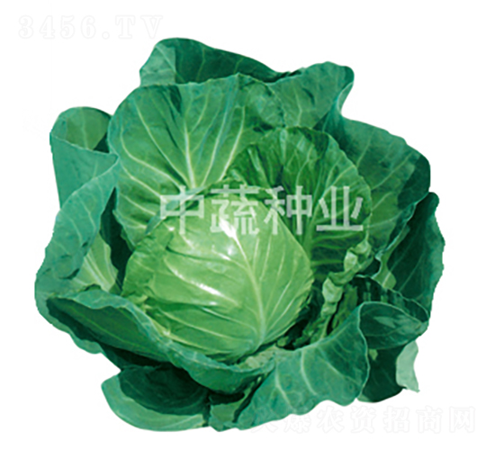 �и�15̖(h��o)-���{(l��n)�N��-���߷N�I(y��)