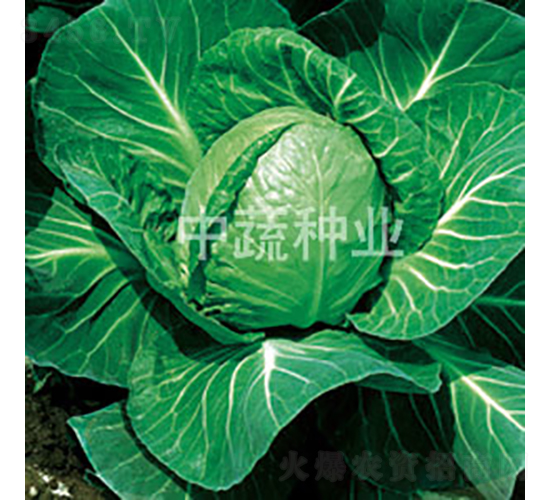 �и�11̖-���{�N��-���߷N�I(y��)