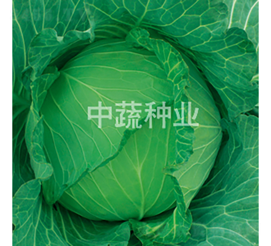 �и�101-���{(l��n)�N��-���߷N�I(y��)