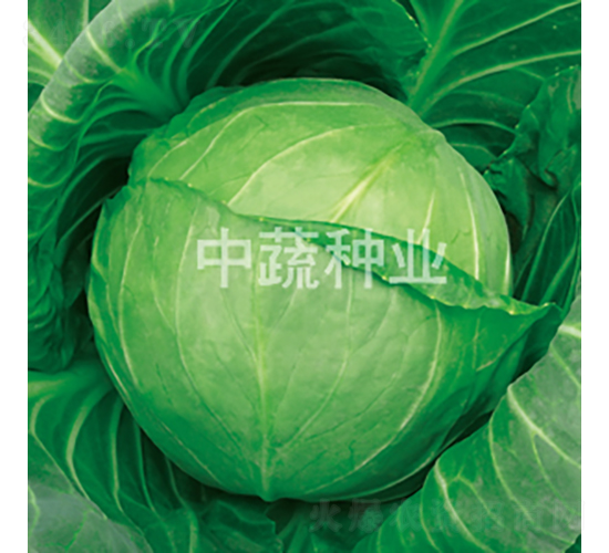 �и�27-���{(l��n)�N��-���߷N�I(y��)