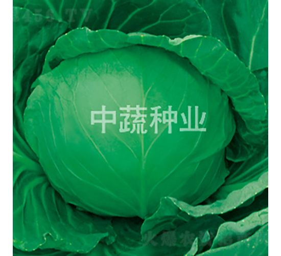 �и�23-���{(l��n)�N��-���߷N�I(y��)