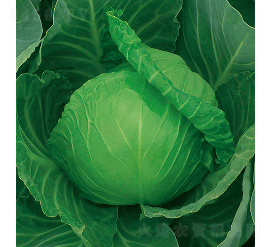 �и�26-���{(l��n)�N��-���߷N�I(y��)