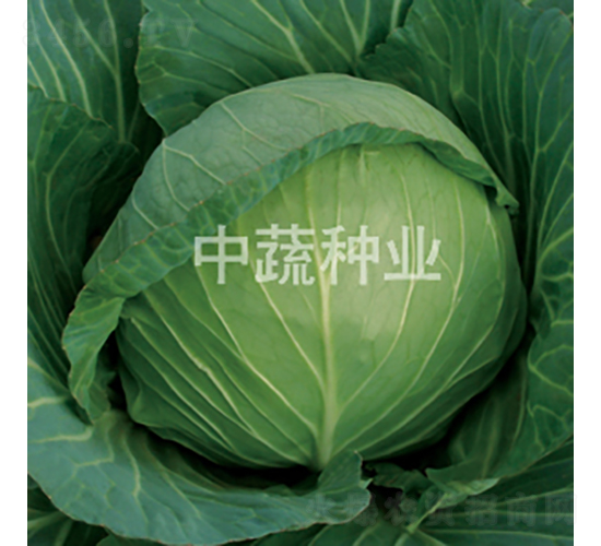 �и�96-���{�N��-���߷N�I(y��)