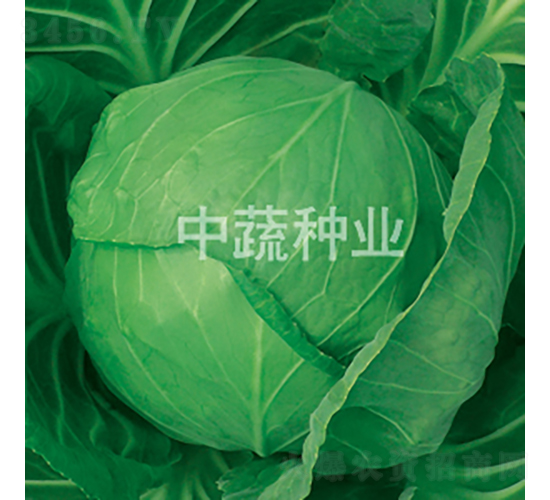 �и�828-���{�N��-���߷N�I(y��)