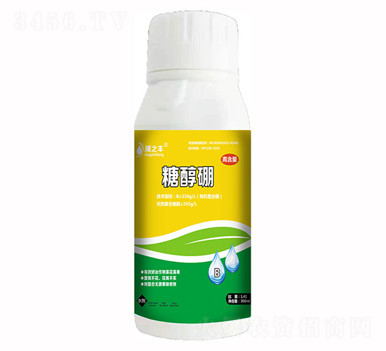 �Ǵ���-¡֮�S