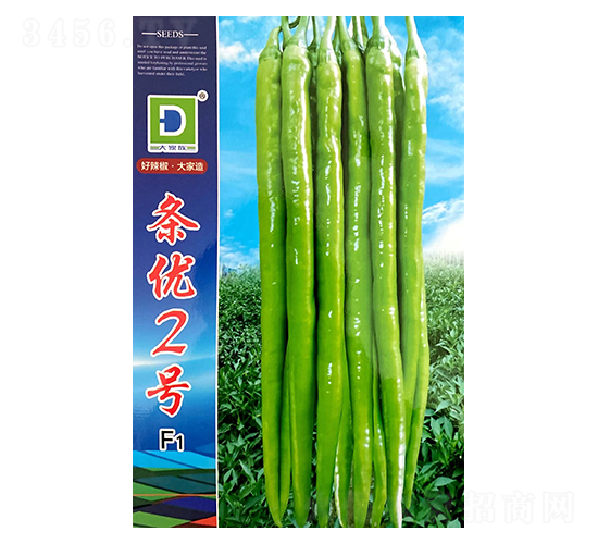 �l��(y��u)��̖-�����N��-�����N�I(y��)