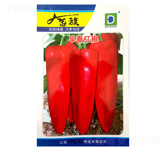 �紺�t��-�����N��-�����N�I(y��)