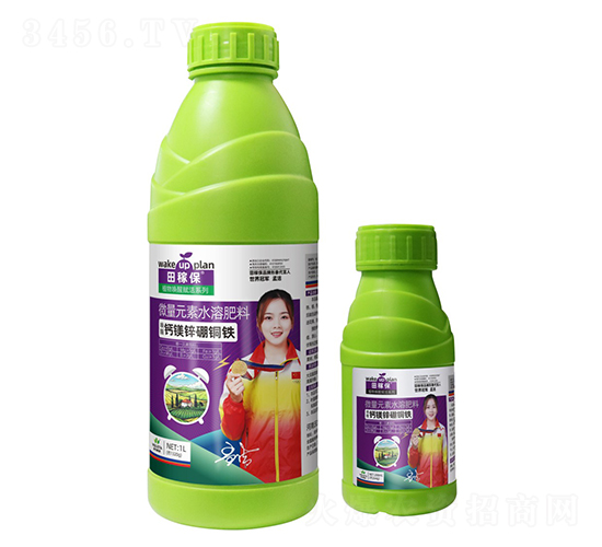 ���ѡ��}�V�\���~�F-��ڱ�