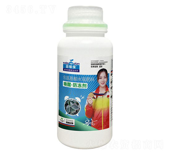 ���ѷ�����-��ڱ�