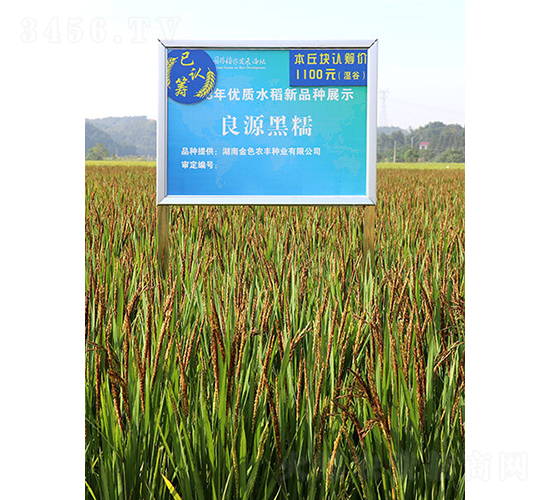 ��ԭ����Ŵ-ˮ���N��-��ɫ�r(n��ng)�S