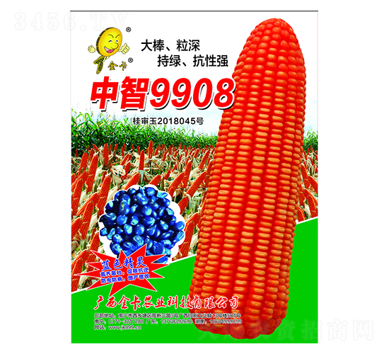 ����9908-���׷N��-���r(n��ng)�I(y��)