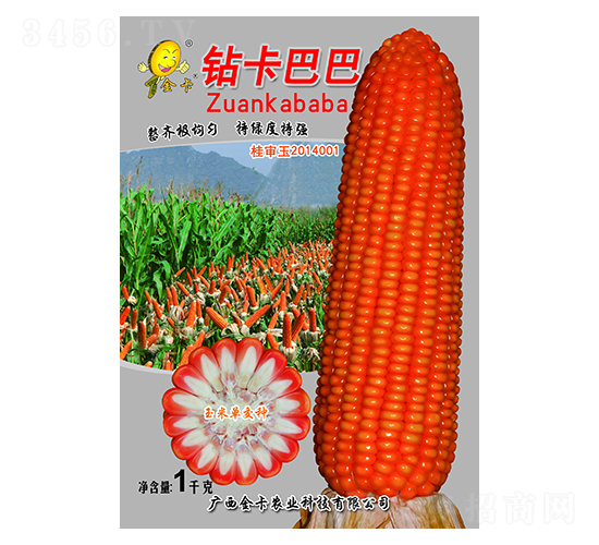 �@���Ͱ�-���׷N��-���r(n��ng)�I(y��)