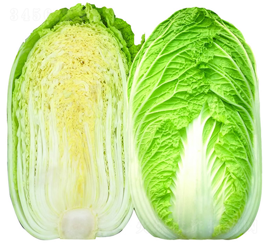 CR������ײ�-�ײ˷N��-�V��