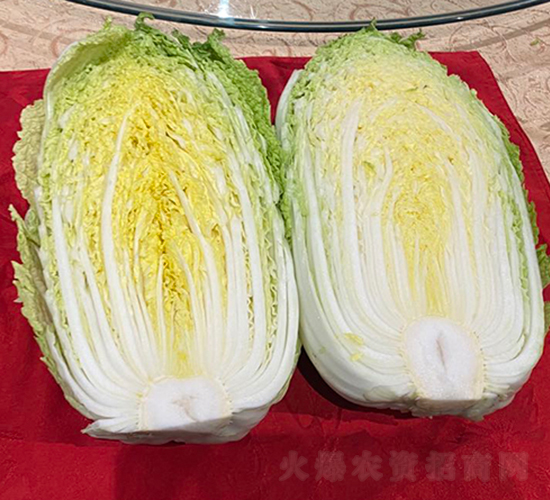 CR��ӯ��ײ�-�ײ˷N��-�V��