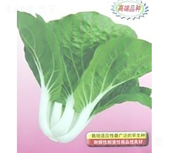 ��õ��ײ�-С�ײ˷N��-�V��