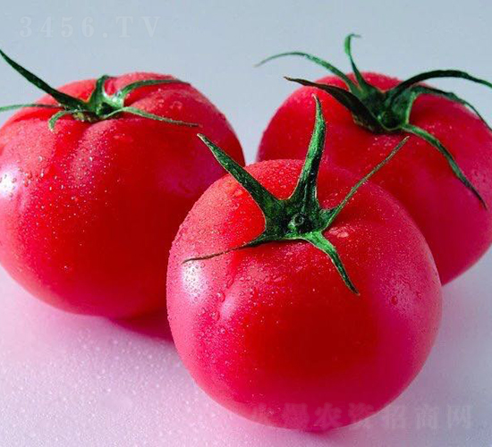 ����ѩ����-���ѷN��-�V��