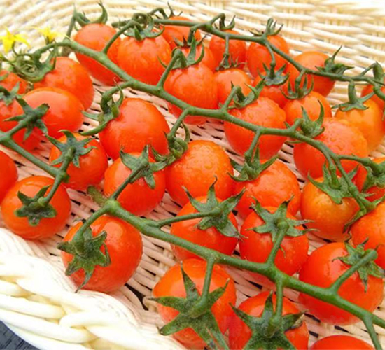 ����1809����-���ѷN��-�V��